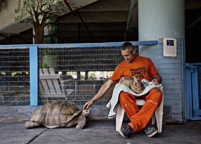 prisioneiros animais abandonados 10