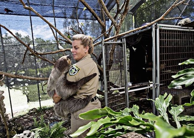 prisioneiros animais abandonados 3