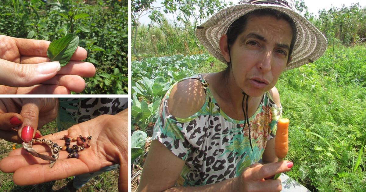 Eu que odiava salada fiquei apaixonada por essa horta orgânica do interior