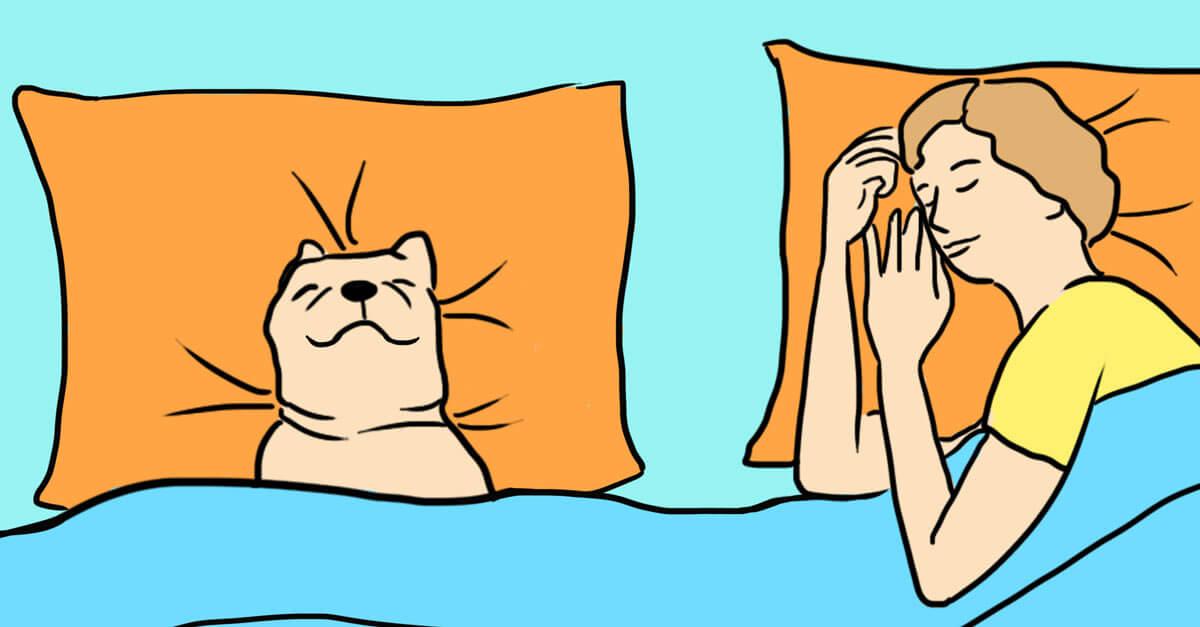 7 razões para deixar seu cachorro dormir na cama com você