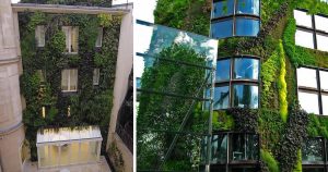 Lei inspira moradores de Paris a cultivarem jardins urbanos em toda a cidade