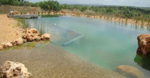 Piscinas biológicas usam plantas no lugar do cloro para manter a água limpa