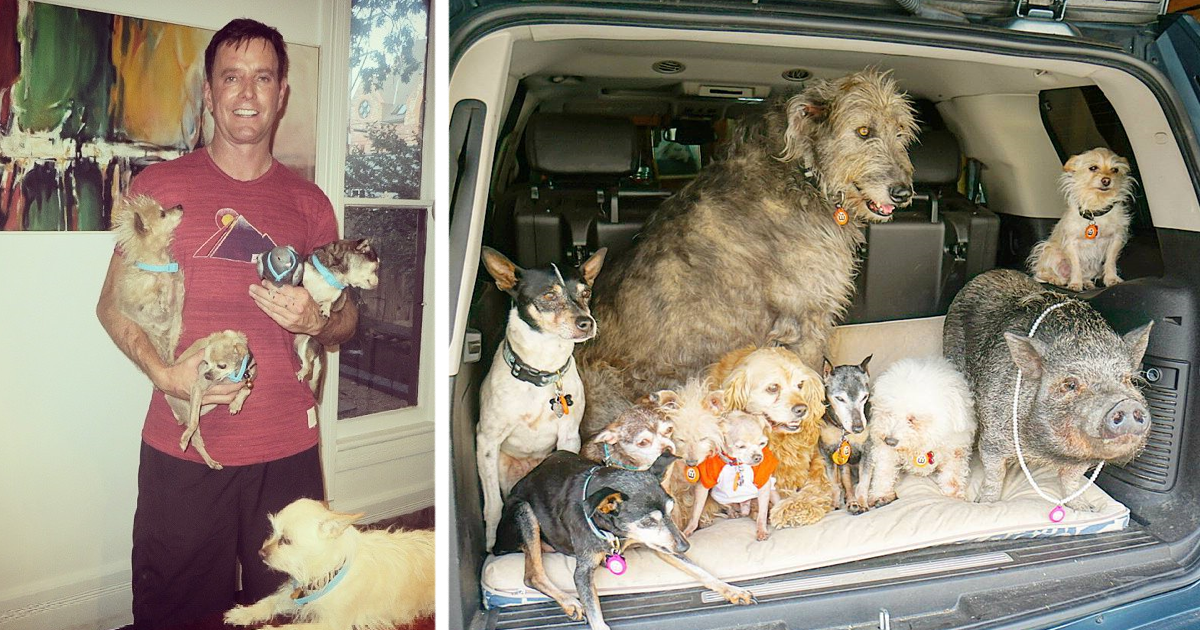 Homem dedica a vida a adotar animais que ninguém mais quer