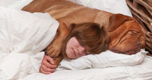 5 razões para deixar seu cachorro dormir na sua cama todas as noites