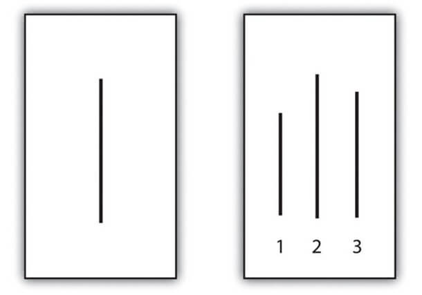 experimentos-psicologicos-5