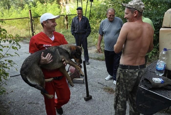 voluntários do Dogs os Chernobyl