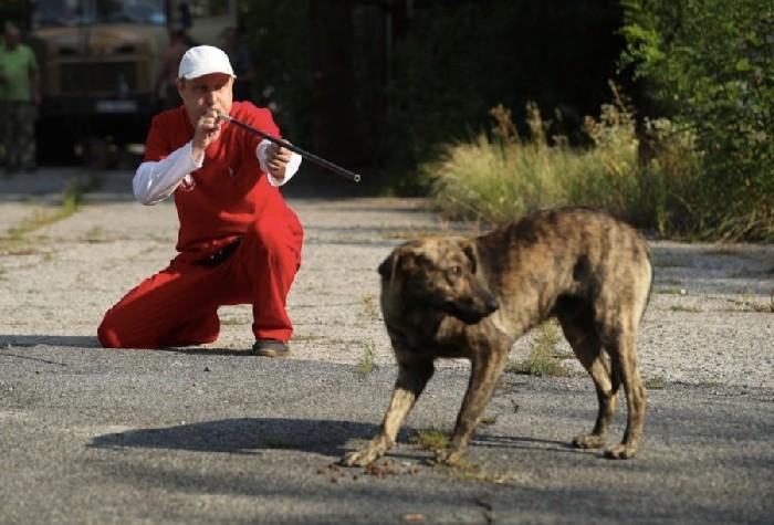 Homem atirando um dardo tranquilizante em um cachorro