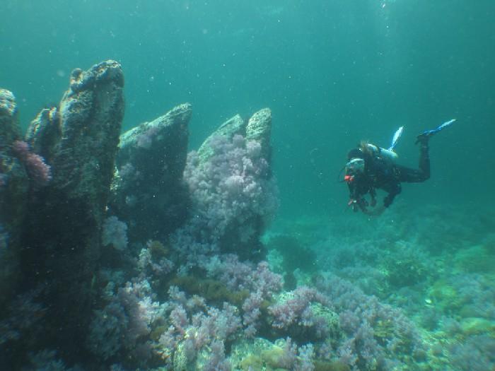 Mistérios encontrados nas profundezas do oceano 1