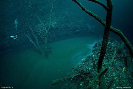 Mistérios encontrados nas profundezas do oceano 7