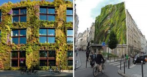 10 jardins verticais que deram um toque natural a ambientes urbanos