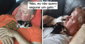 20 pessoas que diziam odiar gatos (mas mudaram de ideia rapidinho)