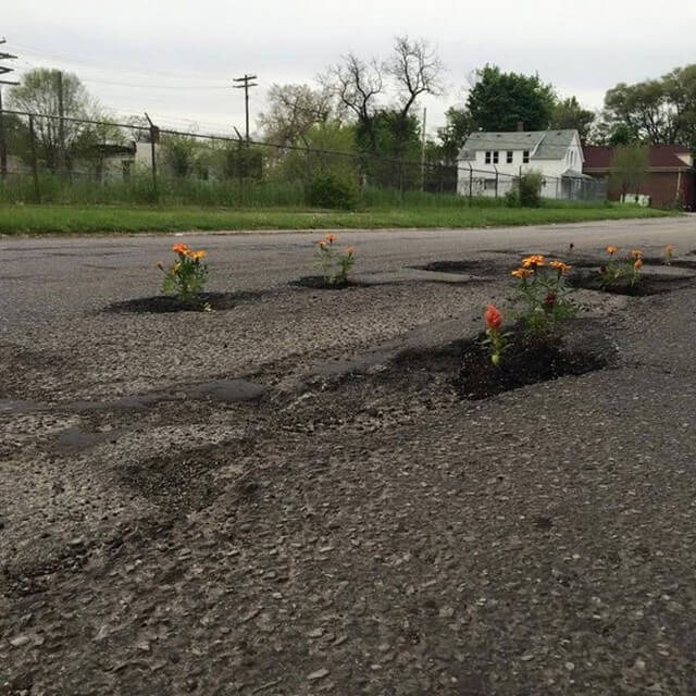 Plantar árvores em buracos (3)