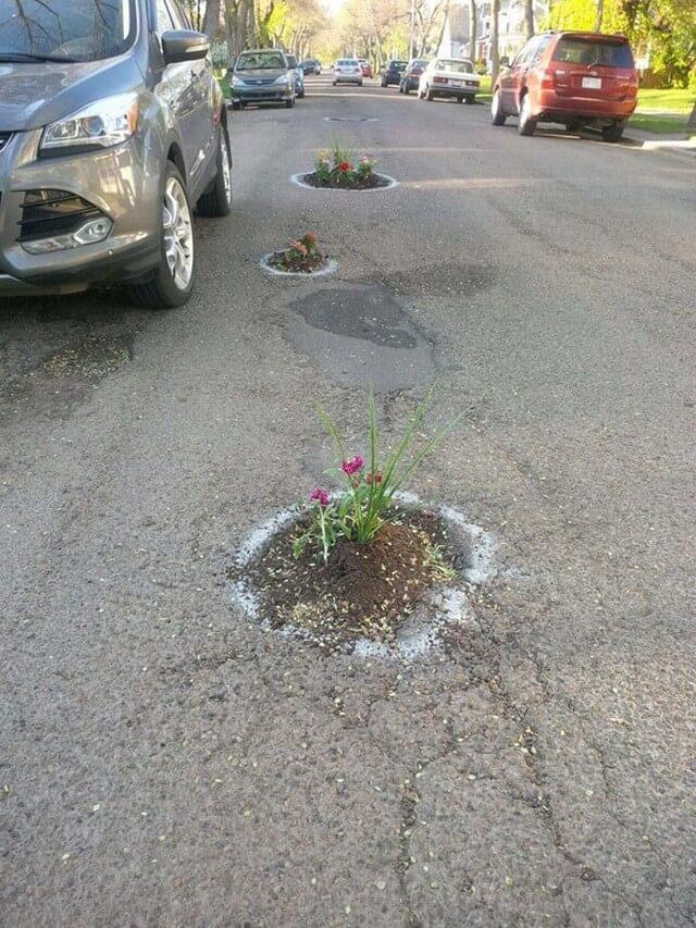 Plantar árvores em buracos (8)