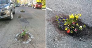 Tem gente plantando flores em buracos para chamar atenção da prefeitura