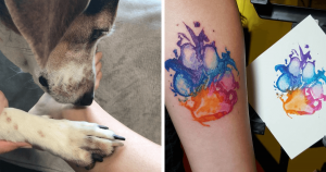 Donos estão tatuando a pata de seus cachorros e o resultado é sensacional