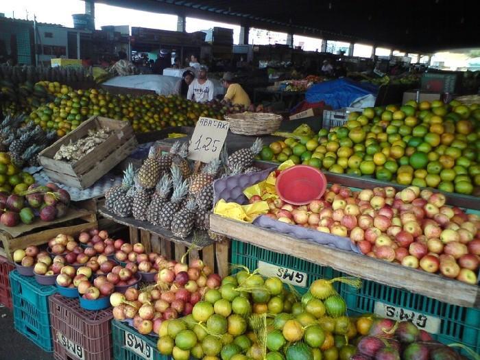 Coisas que você precisa saber antes de se tornar vegano 8