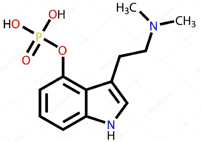 Tratamento da depressão por meio de cogumelos mágicos 2