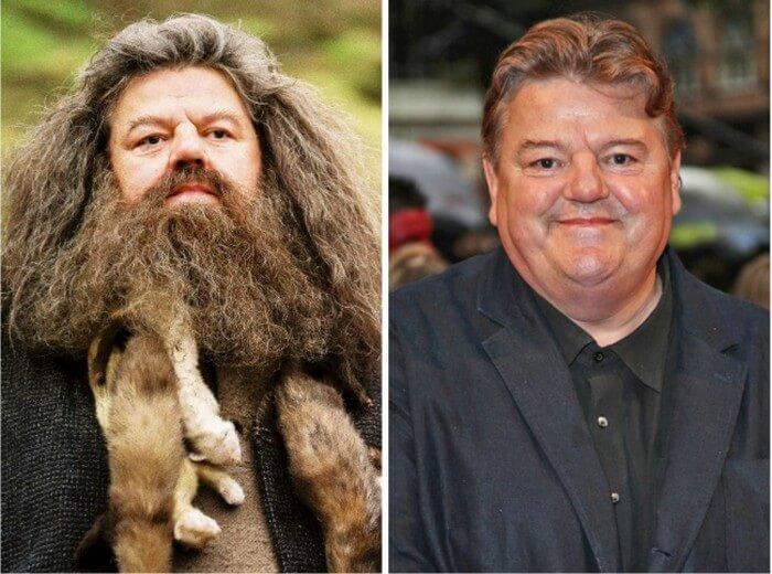 Atores Harry Potter Antes e Depois (6)