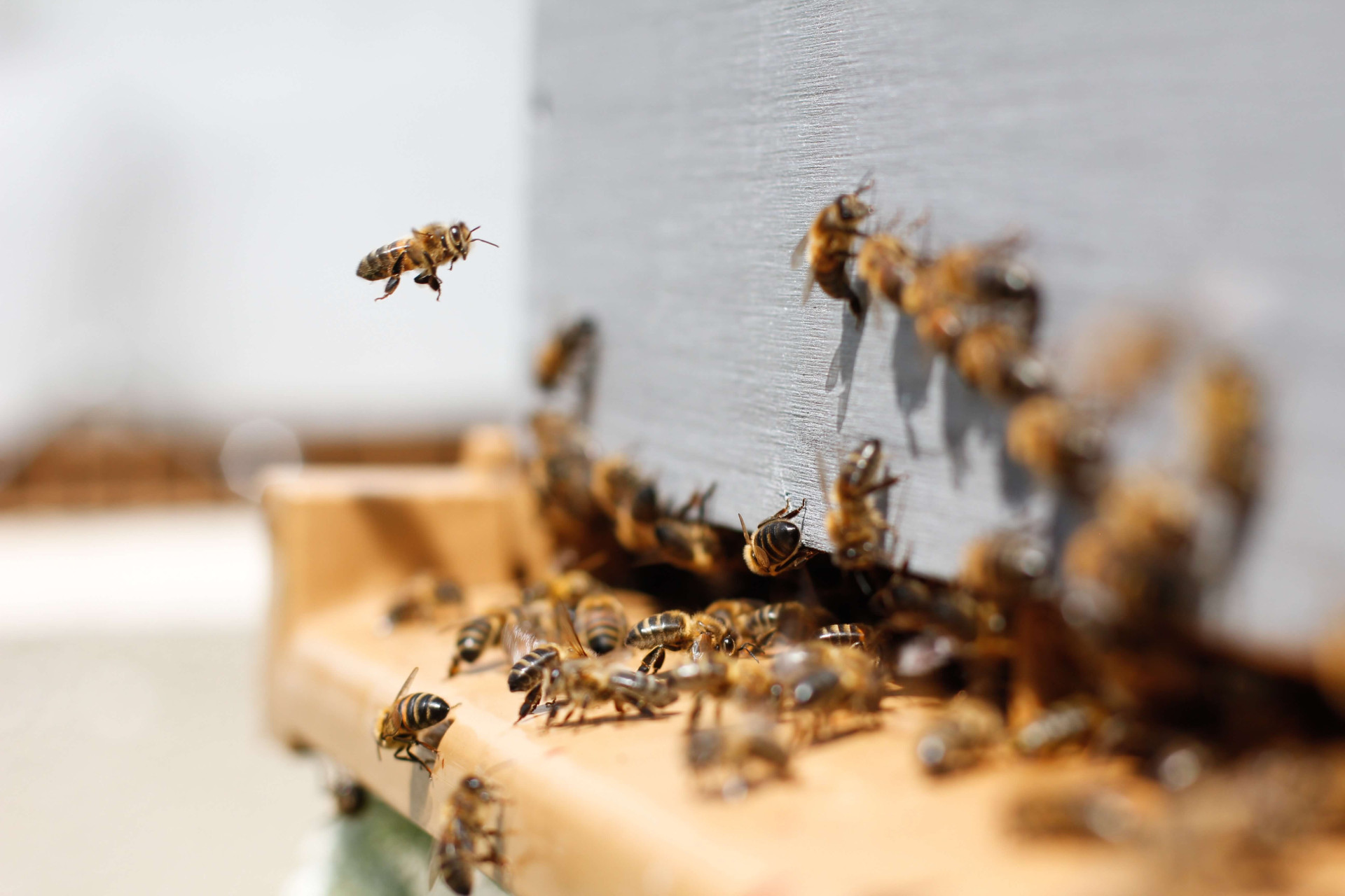 26 poderosas lições de vida que só a natureza consegue nos ensinar com tanta maestria