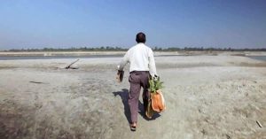 Homem planta árvores todos os dias. 37 anos depois, esta é sua obra-prima.