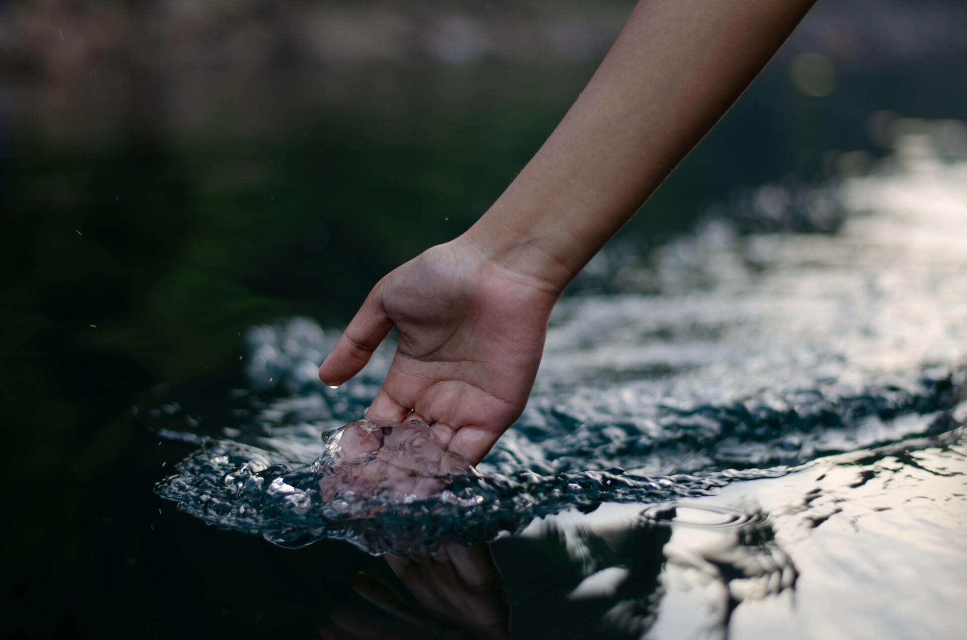 26 poderosas lições de vida que só a natureza consegue nos ensinar com tanta maestria