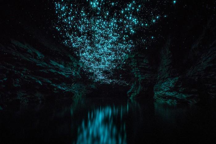 Cavernas mágicas da Nova Zelândia (18)