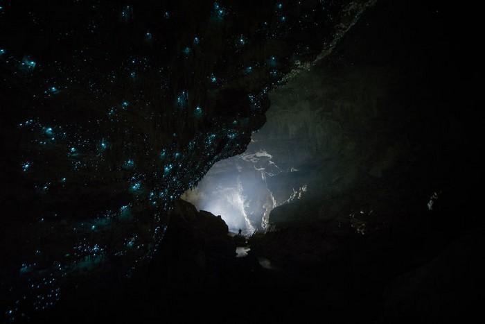 Cavernas mágicas da Nova Zelândia (16)