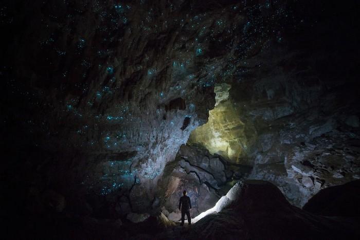 Cavernas mágicas da Nova Zelândia (14)