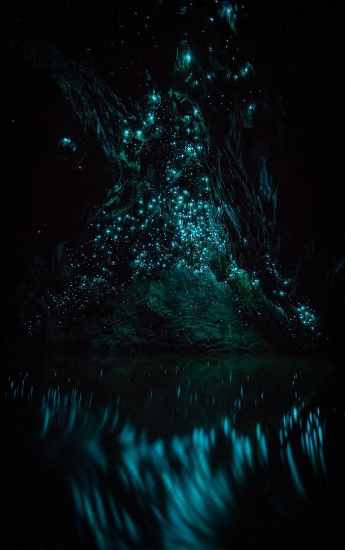 Cavernas mágicas da Nova Zelândia (12)