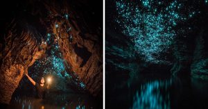 Série de fotos revela a beleza das cavernas luminosas da Nova Zelândia