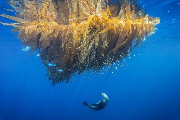 57 melhores fotos 2017 National Geographic (39)