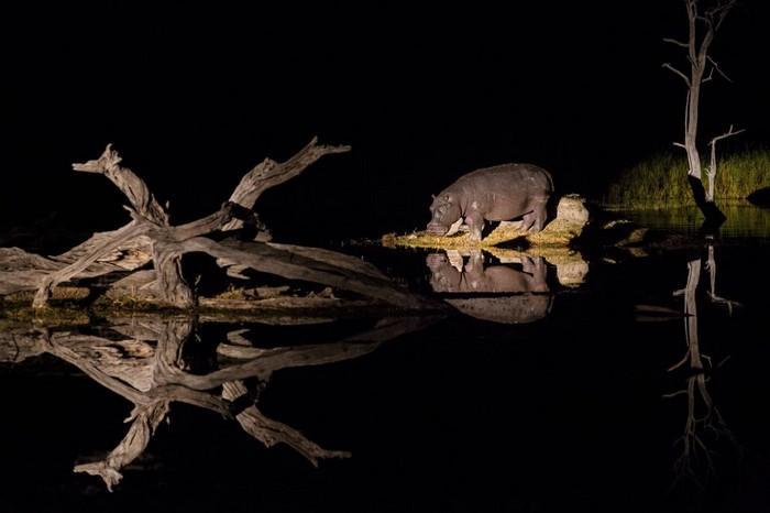 57 melhores fotos 2017 National Geographic (33)