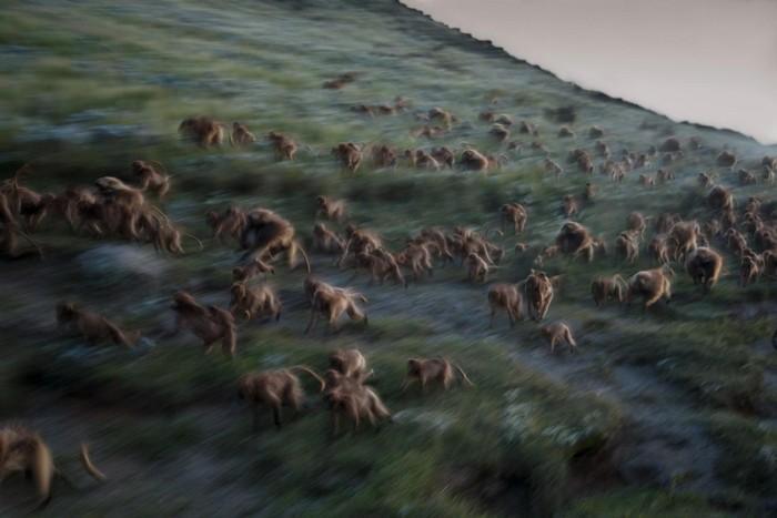 57 melhores fotos 2017 National Geographic (55)