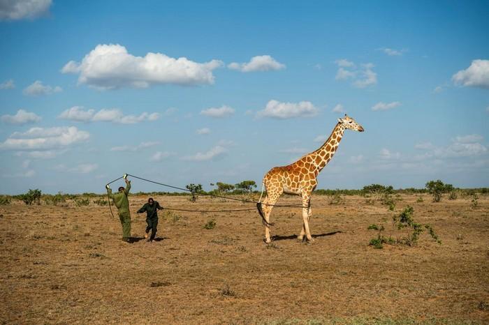 57 melhores fotos 2017 National Geographic (28)