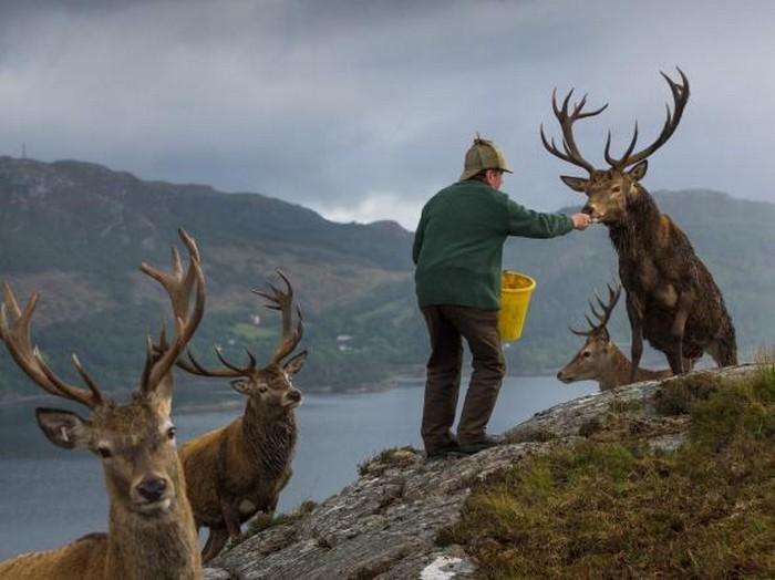 57 melhores fotos 2017 National Geographic (54)