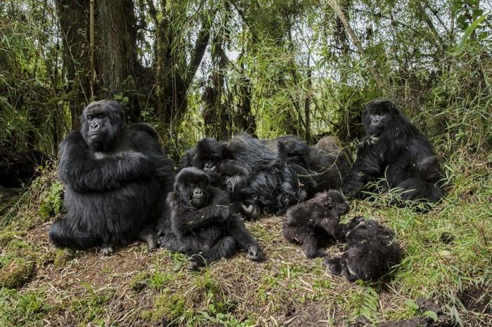 57 melhores fotos 2017 National Geographic (9)