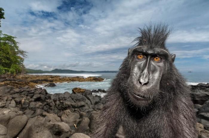 57 melhores fotos 2017 National Geographic (8)