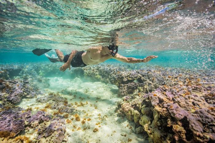 57 melhores fotos 2017 National Geographic (6)