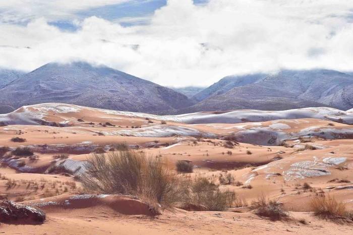 Neve no deserto do Sahara (8)