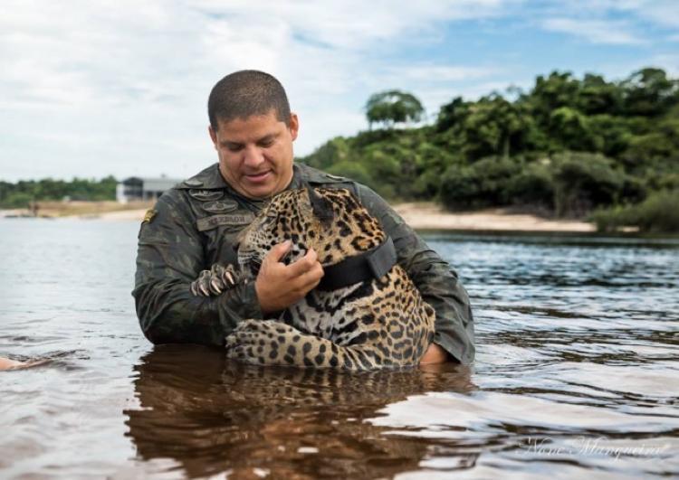 Animais agradecendo as pessoas (11)