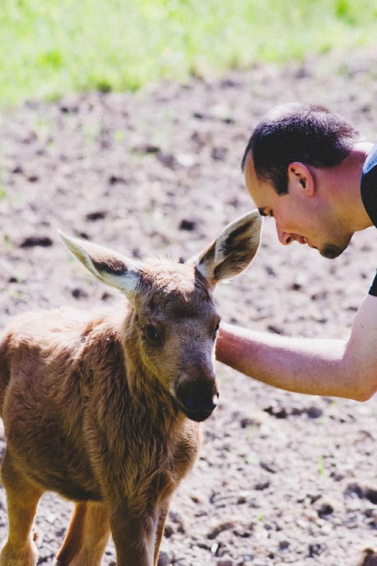 Animais agradecendo as pessoas (15)