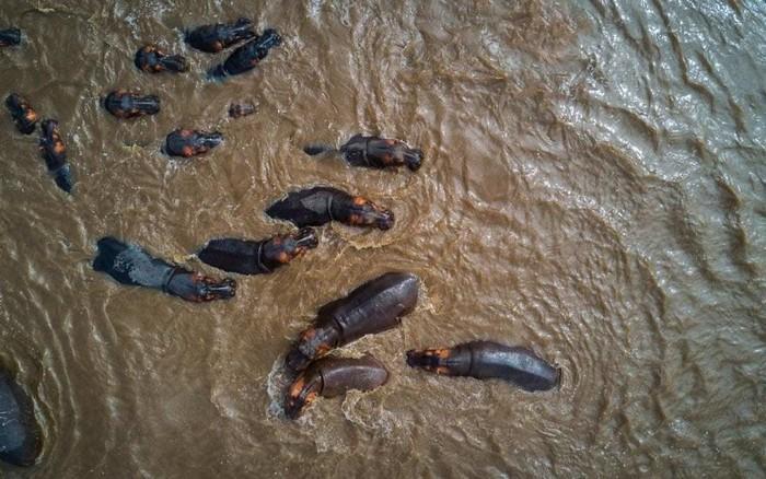 top fotos áreas feitas com drones (14)