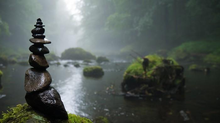 Ciência da cura pela natureza 4