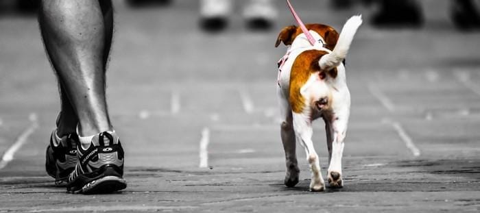 Razões psicológicas surpreendentes para alguém se apaixonar por você