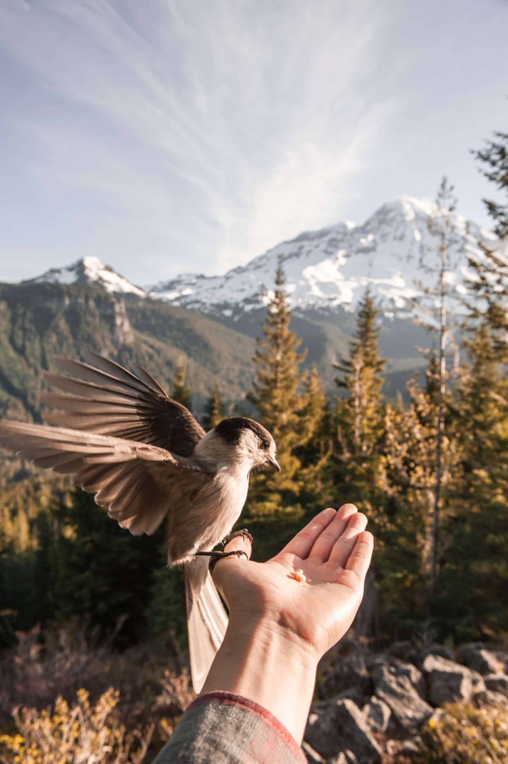 20 razões científicas para você começar a MEDITAR hoje 