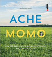 ache momo