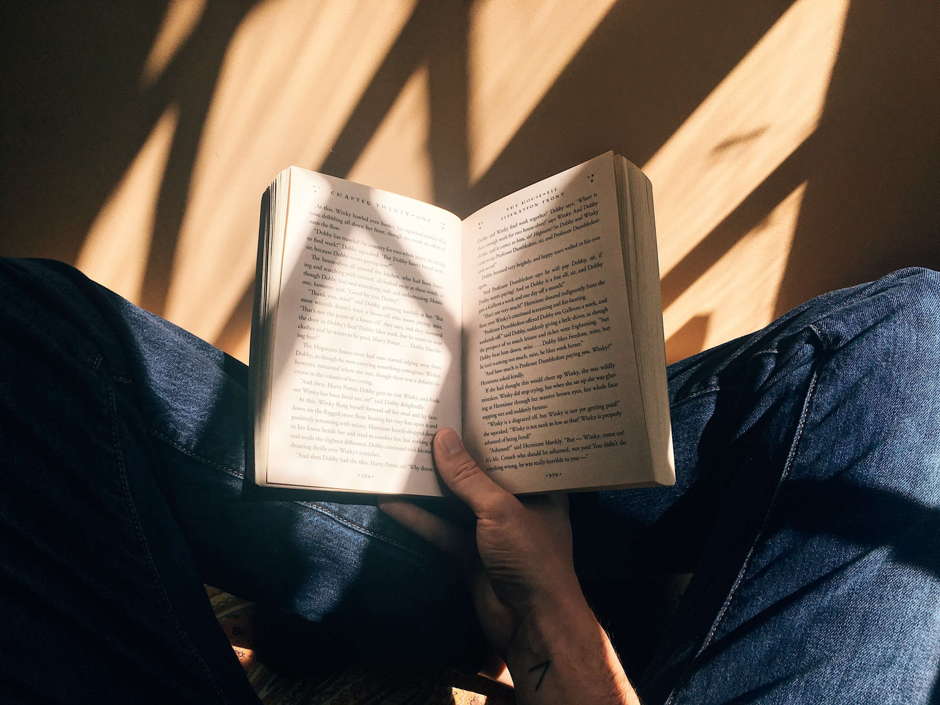 Crescer em uma casa cheia de livros te faz crescer, confirma estudo