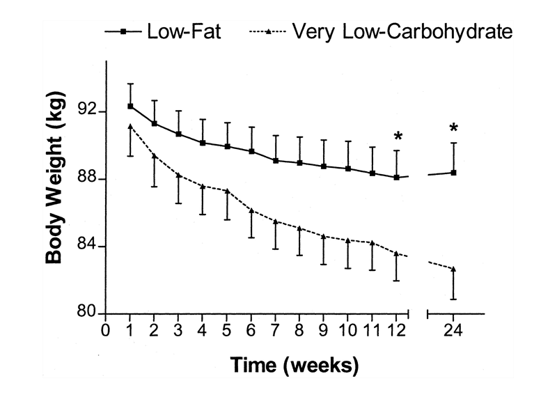 como emagrecer rapido dieta low carb