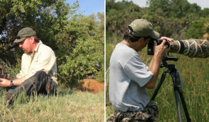 Fotógrafo decide tirar um cochilo e acaba recebendo companhia inusitada