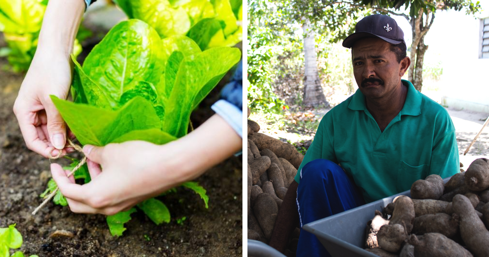 28 de julho – Dia do Agricultor: uma homenagem especial em fotos!